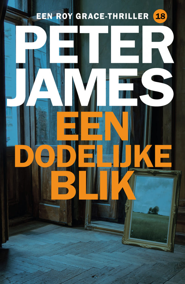 Een-dodelijke-blik-boek-cover-9789026176180