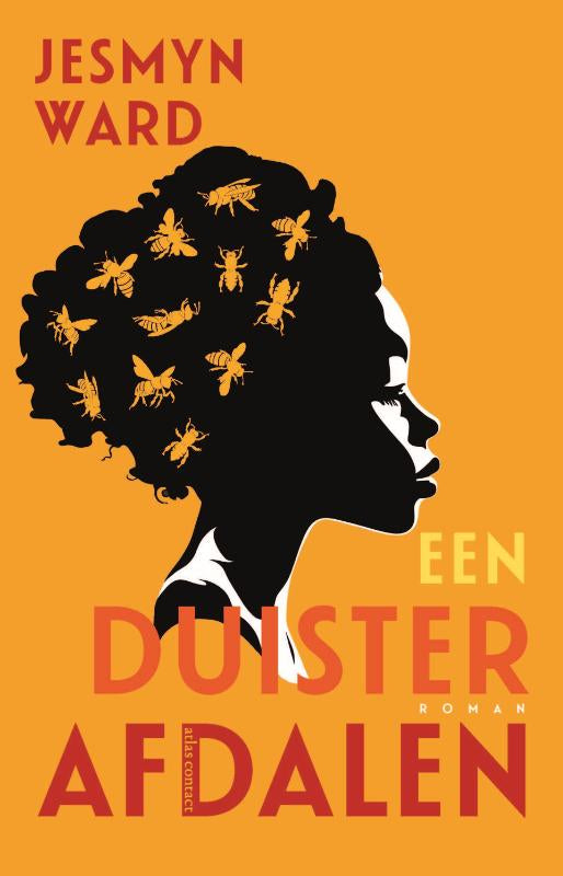 Een-duister-afdalen-boek-cover-9789025475369