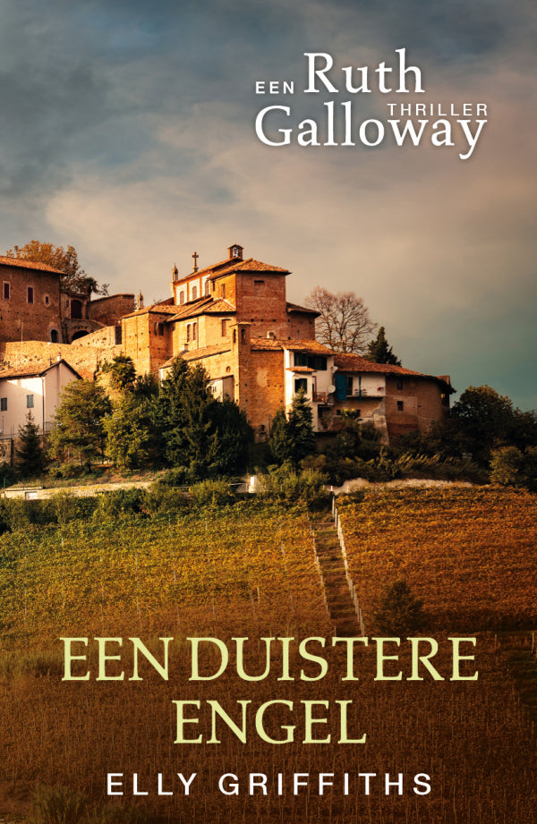 Een-duistere-engel-boek-cover-9789026170737