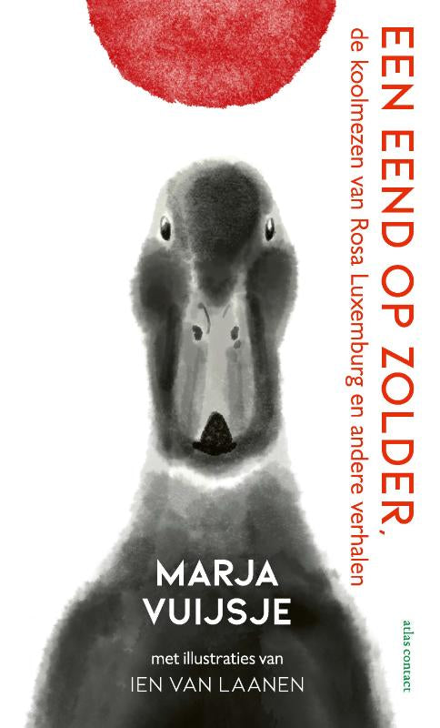 Een-eend-op-zolder-boek-cover-9789045049687