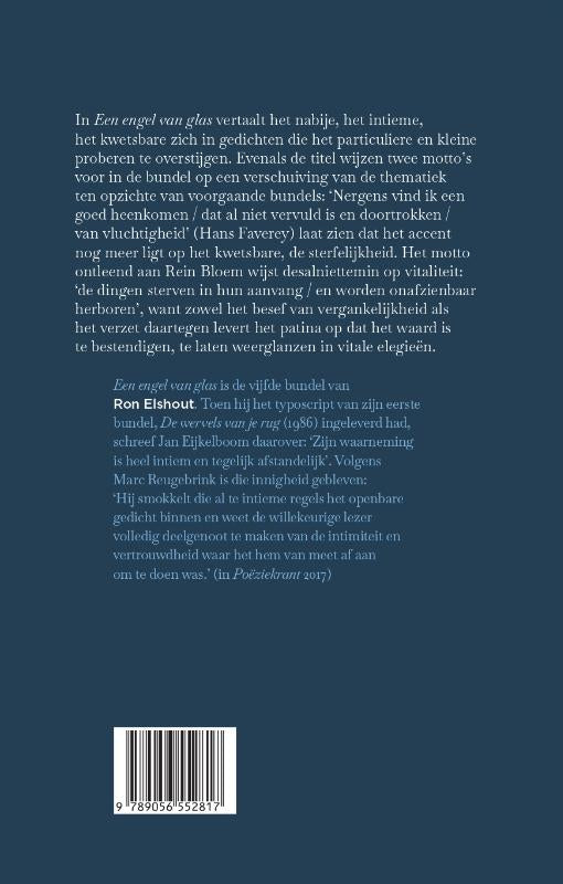 Een-engel-van-glas-flaptekst-9789056552817