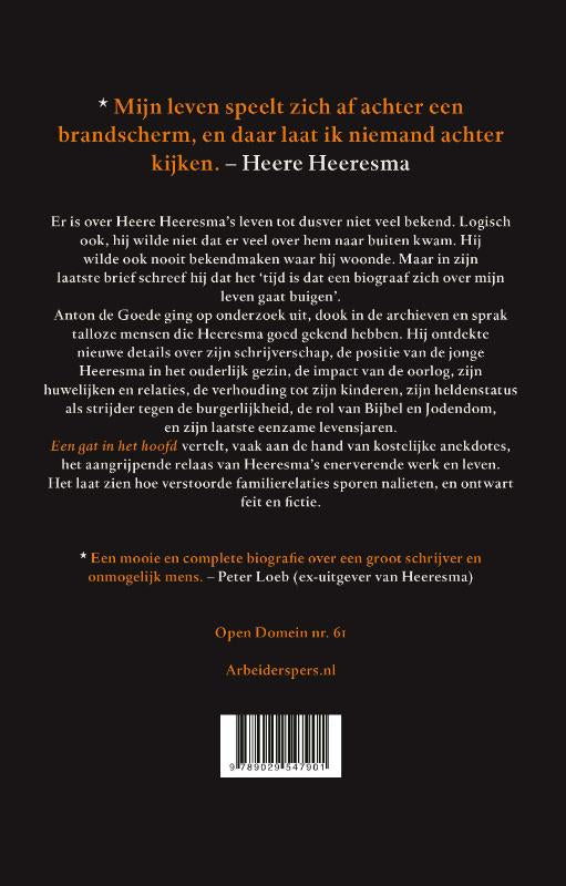 Een-gat-in-het-hoofd-flaptekst-9789029547901