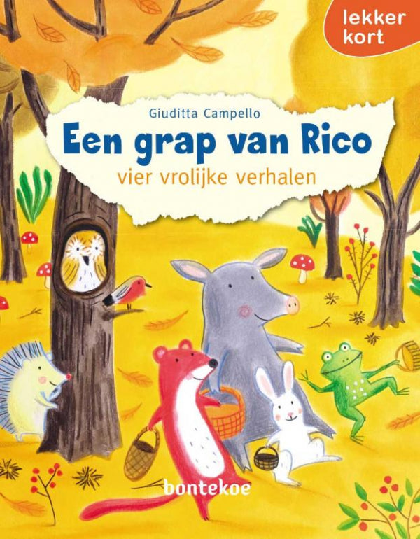 Een-grap-van-Rico-boek-cover-9789463526043