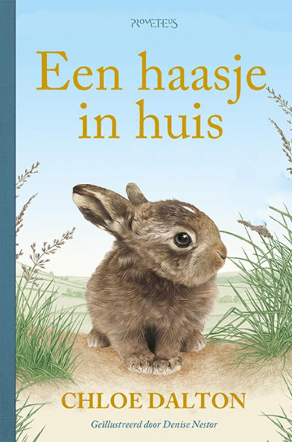 Een haasje in huis (kindereditie)