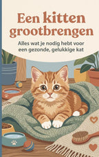 Een-kitten-grootbrengen-boek-cover-9789465533162