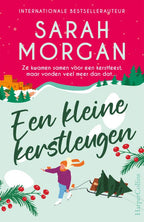 Een-kleine-kerstleugen-boek-cover-9789402718898