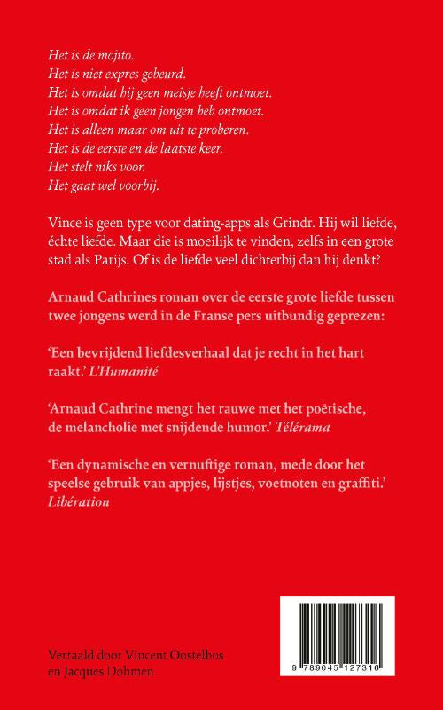 Een-liefde-flaptekst-9789045127316