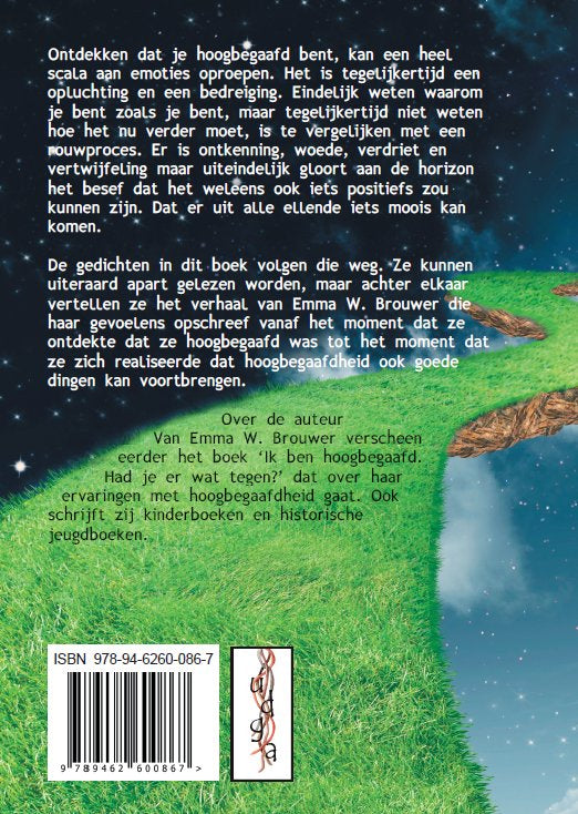 Een-mesostichon-is-een-gedicht-flaptekst-9789462600867