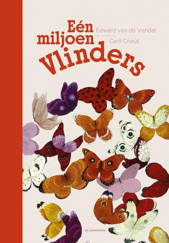 Een-miljoen-vlinders-boek-cover-9789462913974