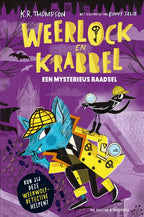 Een-mysterieus-raadsel-boek-cover-9789000403004