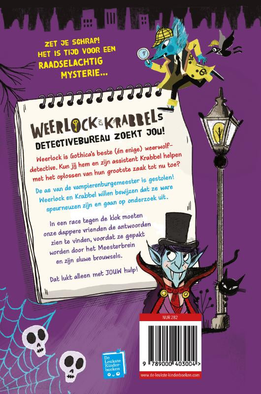 Een-mysterieus-raadsel-flaptekst-9789000403004