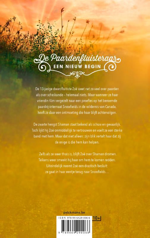 Een-nieuw-begin-flaptekst-9789464290066