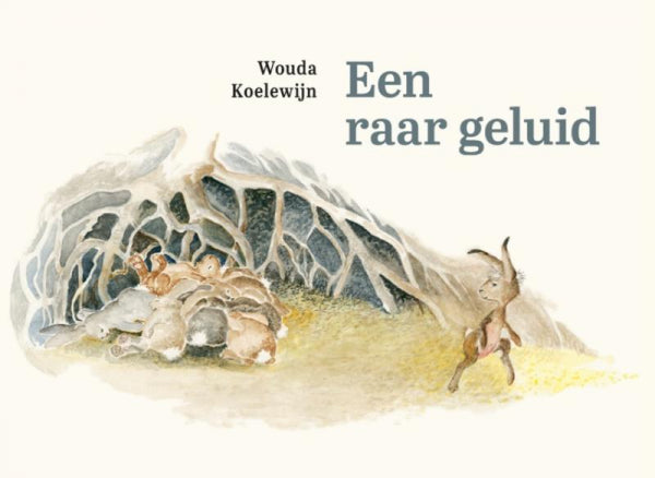 Een-raar-geluid-boek-cover-9789072259899