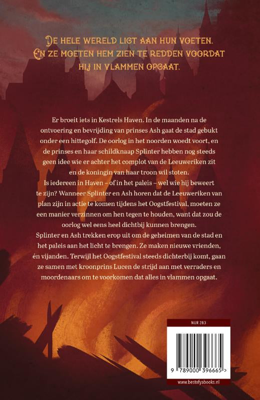 Een-stad-vol-geheimen-flaptekst-9789000396665