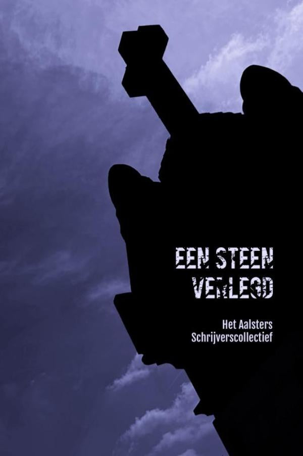 Een-steen-verlegd-boek-cover-9789403825366