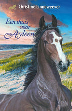 Een-thuis-voor-Ayleen-boek-cover-9789020622881