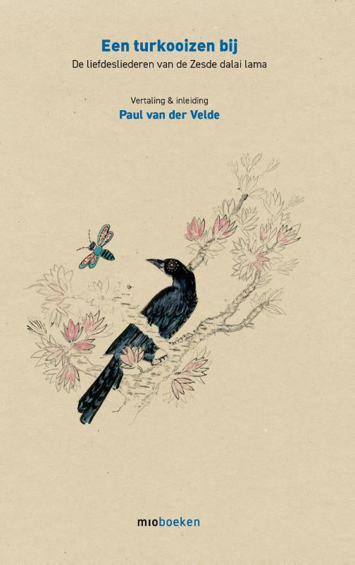 Een-turkooizen-bij-boek-cover-9789493332980