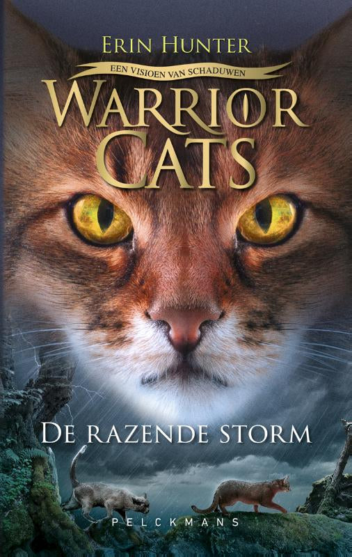 Een visioen van schaduwen: De razende storm