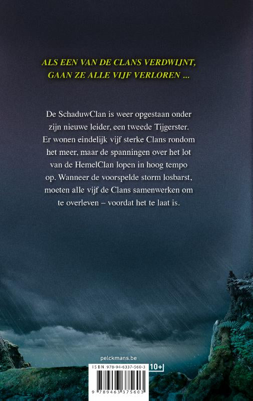 Een-visioen-van-schaduwen-De-razende-storm-flaptekst-9789463375603