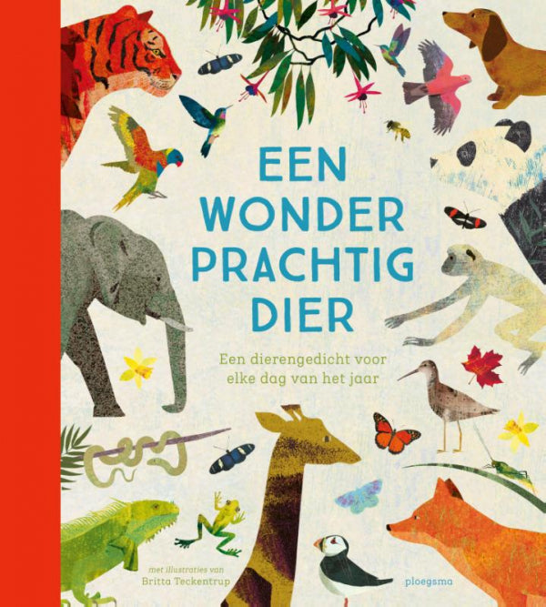 Een-wonderprachtig-dier-boek-cover-9789021682525