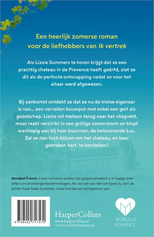 Een-zomer-op-het-chateau-flaptekst-9789402717570
