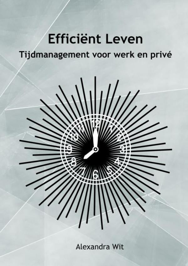 Efficient-Leven-boek-cover-9789403733777
