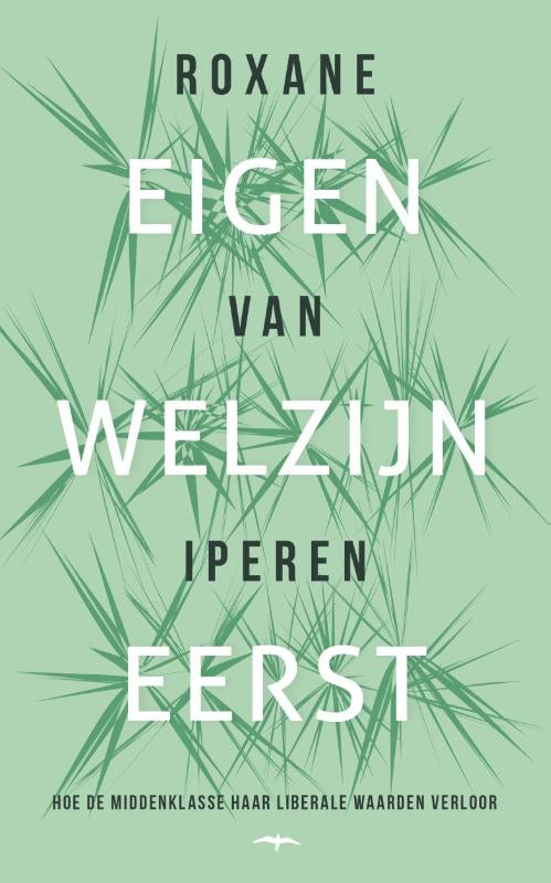 Eigen-welzijn-eerst-boek-cover-9789400413047