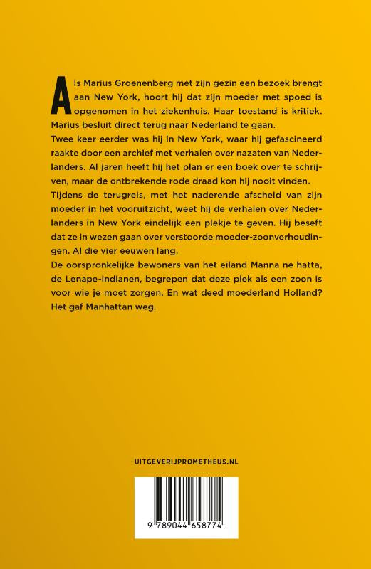 Eiland-zonder-schaduw-flaptekst-9789044658774