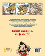 Elsje-Dendert-door-geschiedenis-flaptekst-9789088866791