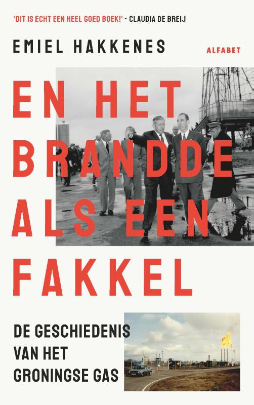 En-het-brandde-als-een-fakkel-boek-cover-9789021342993