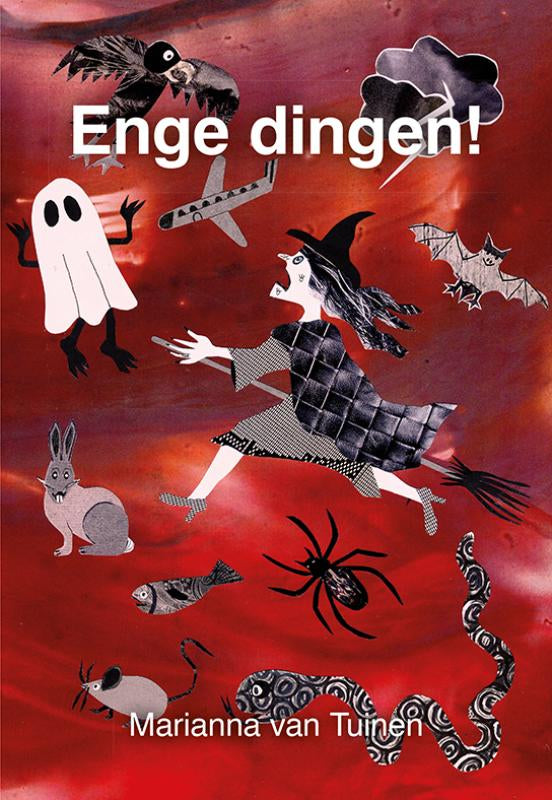 Enge-dingen-boek-cover-9789463656146