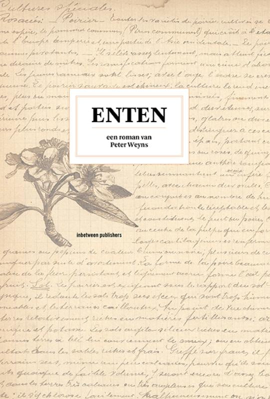 Enten
