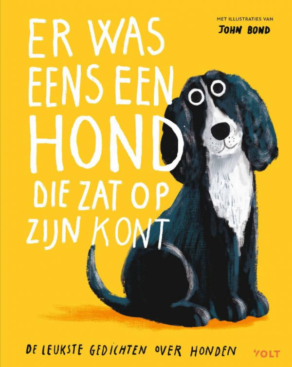 Er-was-eens-een-hond-die-zat-op-z-n-kont-boek-cover-9789062226511