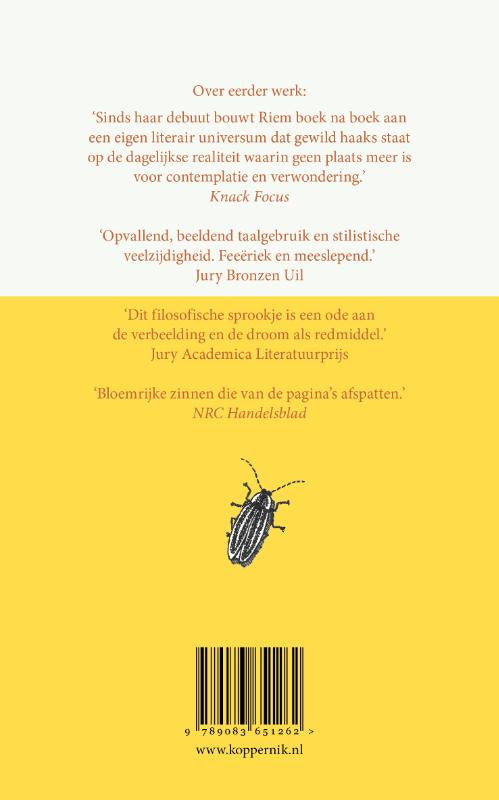 Er-was-eens-een-stenen-hoofd-flaptekst-9789083651262