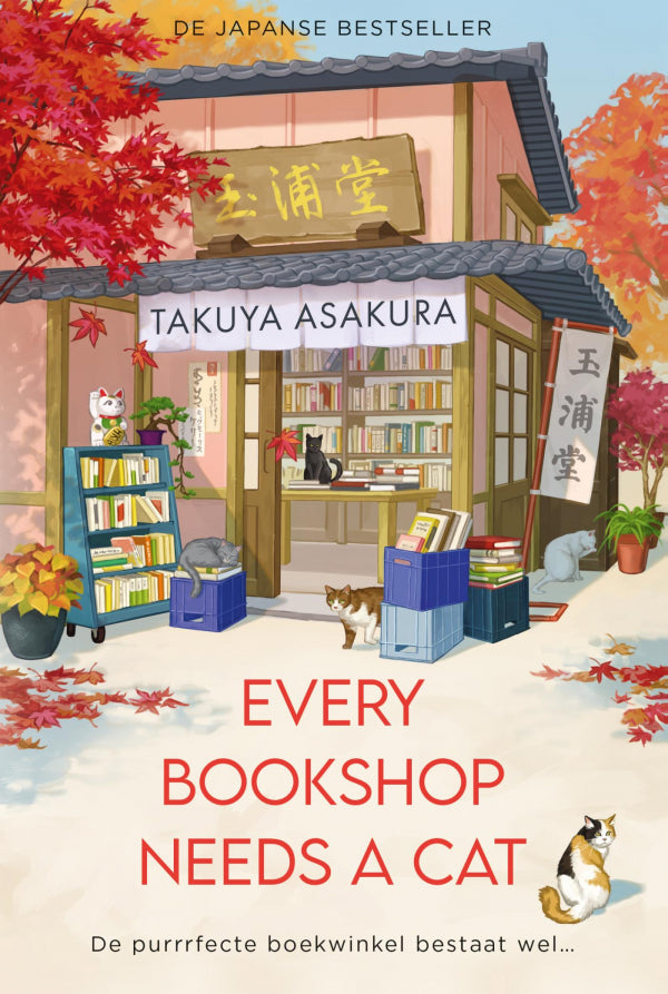 Every Bookshop Needs a Cat
