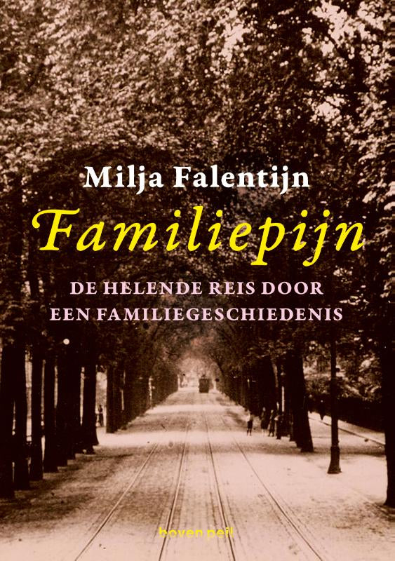 Familiepijn-boek-cover-9789491835537