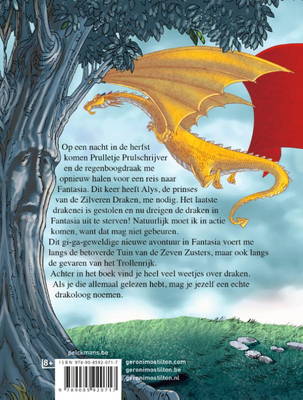 Fantasia-IV-flaptekst-9789085920717