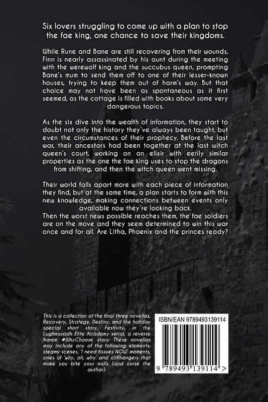 Fated-Encounter-flaptekst-9789493139114