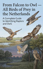 From-Falcon-to-Owl-All-Birds-of-Prey-in-the-Netherlands-boek-cover-9789465593258