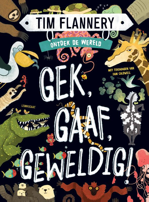 Gek-Gaaf-Geweldig-boek-cover-9789047712244