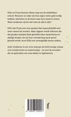 Geld-verdienen-flaptekst-9789493420243