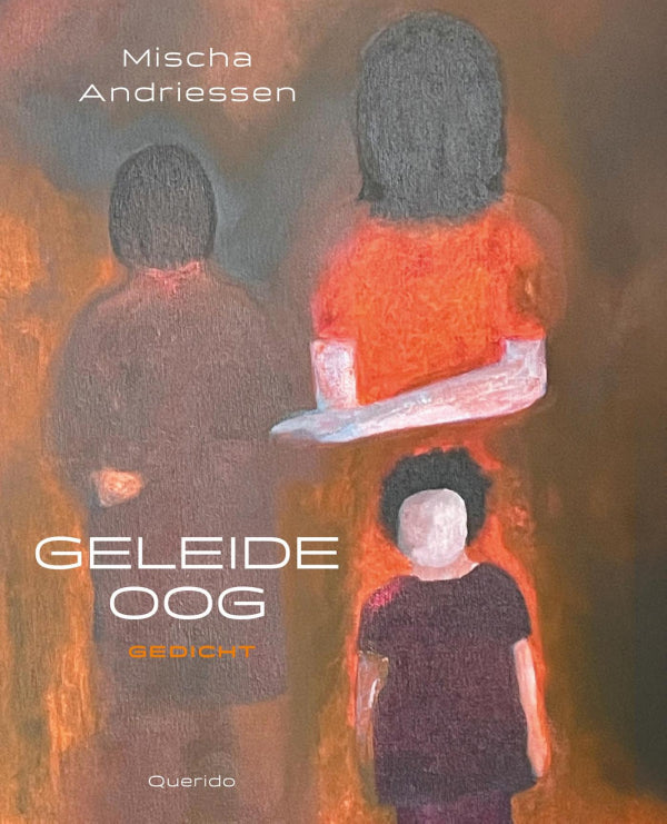 Geleideoog