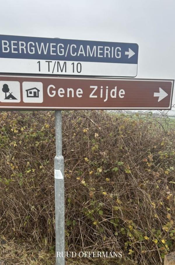 Gene zijde