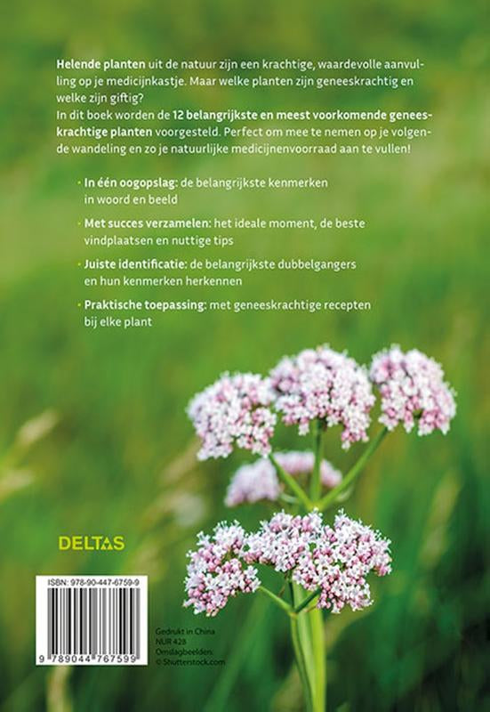 Geneeskrachtige-planten-herkennen-en-gebruiken-flaptekst-9789044767599