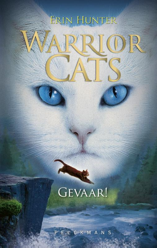 Gevaar
