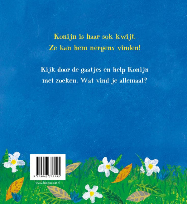 Gevonden-flaptekst-9789047717195