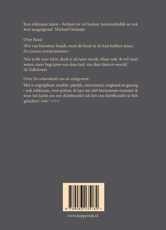 Glas-ironie-and-God-flaptekst-9789083463599