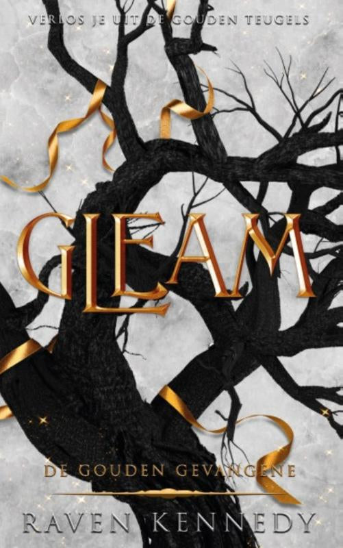 Gleam-boek-cover-9789464406818