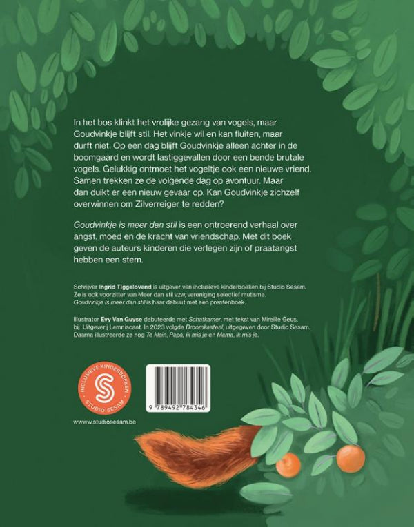 Goudvinkje-is-meer-dan-stil-flaptekst-9789492784346