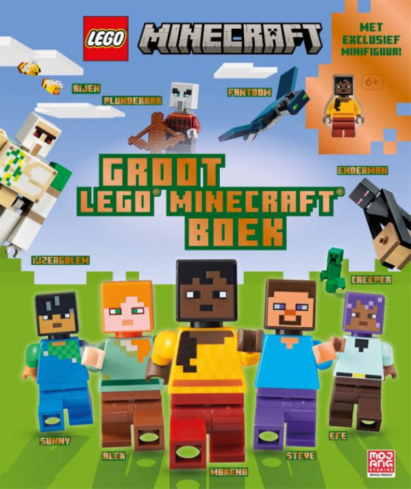 Groot LEGO® Minecraft™ boek